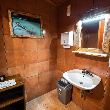 Paradiso * Толмин